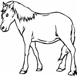 ぬりえページ: 馬 (動物) #2299 - 無料の印刷可能なぬりえページ