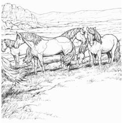 ぬりえページ: 馬 (動物) #2313 - 無料の印刷可能なぬりえページ