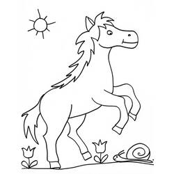 ぬりえページ: 馬 (動物) #2343 - 無料の印刷可能なぬりえページ