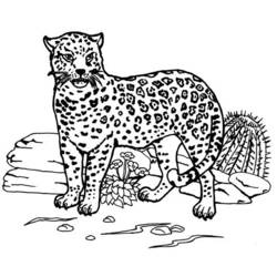 ぬりえページ: ジャガー (動物) #9005 - 無料の印刷可能なぬりえページ