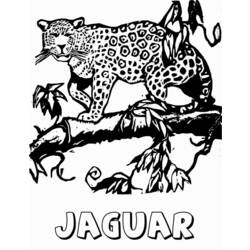 ぬりえページ: ジャガー (動物) #9008 - 無料の印刷可能なぬりえページ