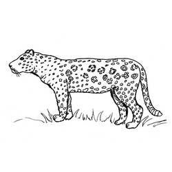 ぬりえページ: ジャガー (動物) #9010 - 無料の印刷可能なぬりえページ
