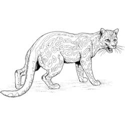 ぬりえページ: ジャガー (動物) #9014 - 無料の印刷可能なぬりえページ