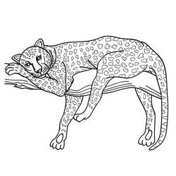 ぬりえページ: ジャガー (動物) #9023 - 無料の印刷可能なぬりえページ