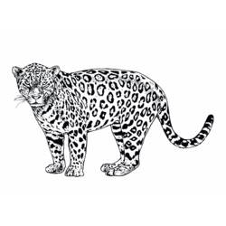 ぬりえページ: ジャガー (動物) #9025 - 無料の印刷可能なぬりえページ