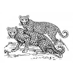 ぬりえページ: ジャガー (動物) #9031 - 無料の印刷可能なぬりえページ