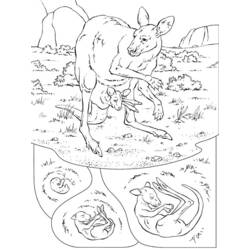 ぬりえページ: カンガルー (動物) #9151 - 無料の印刷可能なぬりえページ