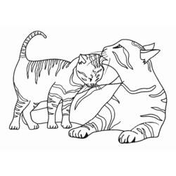 ぬりえページ: 子猫 (動物) #18027 - 無料の印刷可能なぬりえページ