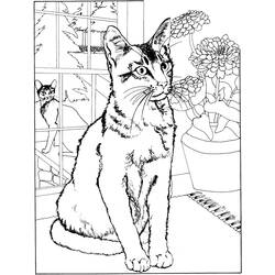ぬりえページ: 子猫 (動物) #18039 - 無料の印刷可能なぬりえページ