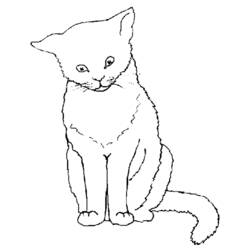 ぬりえページ: 子猫 (動物) #18043 - 無料の印刷可能なぬりえページ
