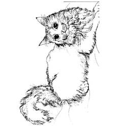 ぬりえページ: 子猫 (動物) #18047 - 無料の印刷可能なぬりえページ