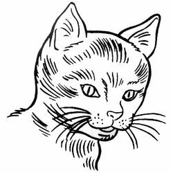 ぬりえページ: 子猫 (動物) #18050 - 無料の印刷可能なぬりえページ