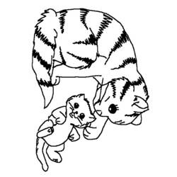 ぬりえページ: 子猫 (動物) #18065 - 無料の印刷可能なぬりえページ
