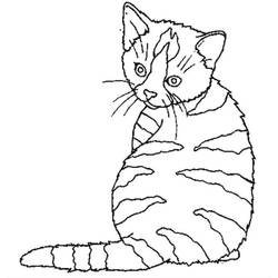 ぬりえページ: 子猫 (動物) #18068 - 無料の印刷可能なぬりえページ