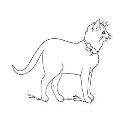 ぬりえページ: 子猫 (動物) #18084 - 無料の印刷可能なぬりえページ