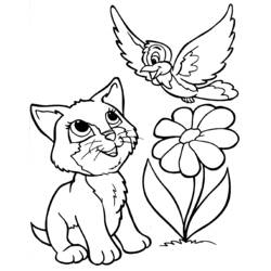 ぬりえページ: 子猫 (動物) #18087 - 無料の印刷可能なぬりえページ
