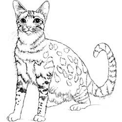 ぬりえページ: 子猫 (動物) #18096 - 無料の印刷可能なぬりえページ