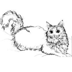 ぬりえページ: 子猫 (動物) #18097 - 無料の印刷可能なぬりえページ