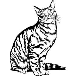 ぬりえページ: 子猫 (動物) #18148 - 無料の印刷可能なぬりえページ