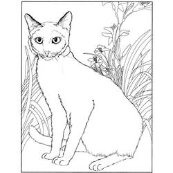 ぬりえページ: 子猫 (動物) #18205 - 無料の印刷可能なぬりえページ