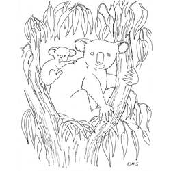 ぬりえページ: コアラ (動物) #9310 - 無料の印刷可能なぬりえページ