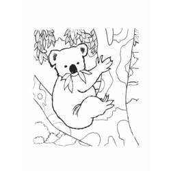 ぬりえページ: コアラ (動物) #9337 - 無料の印刷可能なぬりえページ