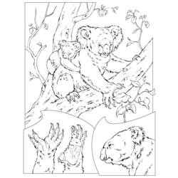 ぬりえページ: コアラ (動物) #9339 - 無料の印刷可能なぬりえページ