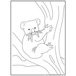 ぬりえページ: コアラ (動物) #9342 - 無料の印刷可能なぬりえページ