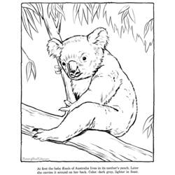 ぬりえページ: コアラ (動物) #9388 - 無料の印刷可能なぬりえページ