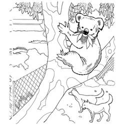 ぬりえページ: コアラ (動物) #9470 - 無料の印刷可能なぬりえページ