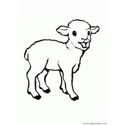 ぬりえページ: 子羊 (動物) #175 - 無料の印刷可能なぬりえページ
