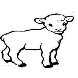 ぬりえページ: 子羊 (動物) #177 - 無料の印刷可能なぬりえページ