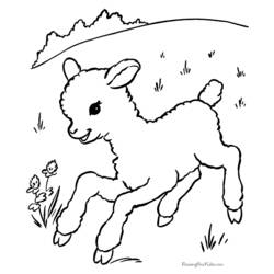 ぬりえページ: 子羊 (動物) #190 - 無料の印刷可能なぬりえページ