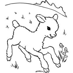 ぬりえページ: 子羊 (動物) #198 - 無料の印刷可能なぬりえページ