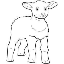 ぬりえページ: 子羊 (動物) #200 - 無料の印刷可能なぬりえページ
