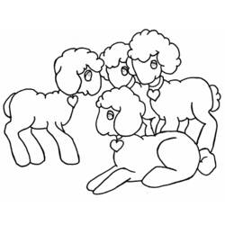 ぬりえページ: 子羊 (動物) #205 - 無料の印刷可能なぬりえページ
