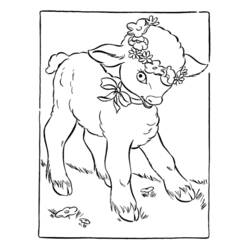ぬりえページ: 子羊 (動物) #206 - 無料の印刷可能なぬりえページ