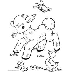 ぬりえページ: 子羊 (動物) #214 - 無料の印刷可能なぬりえページ