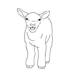 ぬりえページ: 子羊 (動物) #216 - 無料の印刷可能なぬりえページ