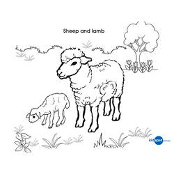 ぬりえページ: 子羊 (動物) #225 - 無料の印刷可能なぬりえページ