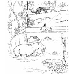 ぬりえページ: ヒョウ (動物) #9788 - 無料の印刷可能なぬりえページ