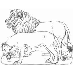 ぬりえページ: ライオン (動物) #10241 - 無料の印刷可能なぬりえページ