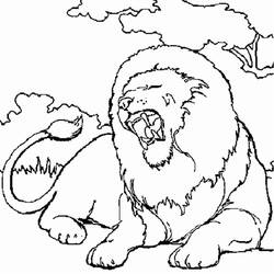 ぬりえページ: ライオン (動物) #10251 - 無料の印刷可能なぬりえページ