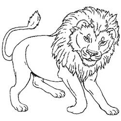 ぬりえページ: ライオン (動物) #10270 - 無料の印刷可能なぬりえページ