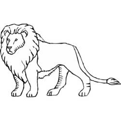 ぬりえページ: ライオン (動物) #10292 - 無料の印刷可能なぬりえページ