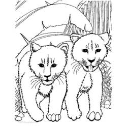 ぬりえページ: ライオン (動物) #10296 - 無料の印刷可能なぬりえページ