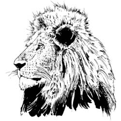 ぬりえページ: ライオン (動物) #10316 - 無料の印刷可能なぬりえページ