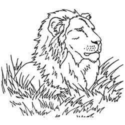 ぬりえページ: ライオン (動物) #10349 - 無料の印刷可能なぬりえページ