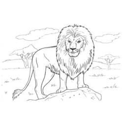 ぬりえページ: ライオン (動物) #10379 - 無料の印刷可能なぬりえページ