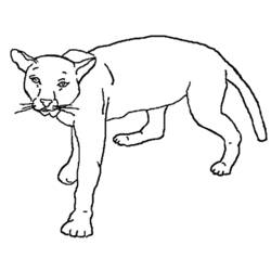 ぬりえページ: ライオン (動物) #10388 - 無料の印刷可能なぬりえページ